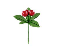 Premier Berry Pick Red/green (One Size)