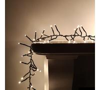 Premier Christmas Cluster Lights - Multi Choice - Outdoor Multi Function & Timer