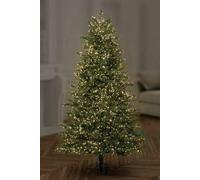 Premier Christmas TREEBRIGHTS 1000 Multi-Action LED Warm Ice White Multicoloured