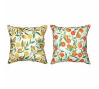 Premier Decorations 45cm Lemon and Orange Outdoor Cushion