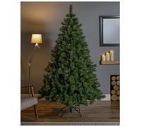 Premier Decorations 8ft Prelit Ridgemere Pine Christmas Tree