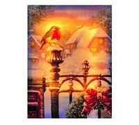 Premier Decorations Fibre optic Led light up Robin on a Letter Box 30 x 40 Centimeter