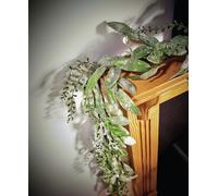 Premier Decorations Frosted Eucalyptus Christmas Garland