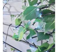 Premier Decorations Limited 100 Led Garden Lights Cool White