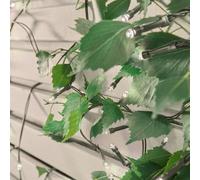 Premier Decorations Limited 50 Led Garden Lights Warm White
