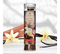 Premier Decorations LTD Scentsicles 6 Scented Christmas Tree Ornaments Hanging Sticks Into Vanilla Woods