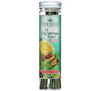 Premier Decorations Limited Christmas Tree Scented Stick, Pack Of 6