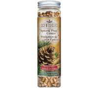 Premier Decorations Scented Spiced Pine Cones Scentfetti Ornament in Beige Premier Decorations Beige