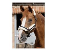 Premier Equine Techno Wool Head Collar - Black - Size: Full