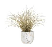 Premier Homewares Grass Plant In Round Ceramic Pot Rustic Home Office Decor Artificial Plants For Indoors Faux Plants With Ceramic Plant Pot 66cm x 57cm x 66cm