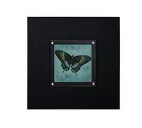 Premier Housewares Butterfly 2 Framed Wall Art