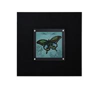 Butterfly 1 Framed Wall Art Home Wall Décor Premier Housewares Black One Size