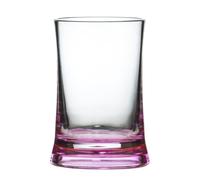 Premier Housewares 1601355 Acrylic Tumbler - Hot Pink/Clear 11 x 8 x 8 cm