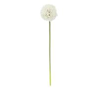 Premier Housewares Allium Stem Ivory Flower - 72cm/ Artificial Succulent Plants With Long Stem/Fake Succulents/Hand Made Ivory Flower With Stem/Dimensions W15 x D15 x H72cm