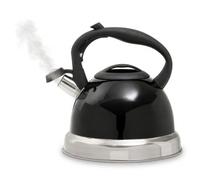 Premier Housewares Black 3 Litre Whistling Kettle | Stainless Steel Design
