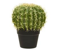 Premier Housewares Cactus/Artificial Succulent Plants Arrangement/Mini Artificial Plant/Small Succulent Plant/Artificial Succulent Cactus 30 cm / W25 x D25 x H30cm