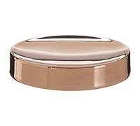 Premier Housewares Clara Soap Dish, Stainless Steel, Stainless-Steel, Rose Gold, 11 x 11 x 2 cm