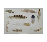 Premier Housewares Feather Wall Plaque - Brown
