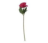 Premier Housewares Fiori Artificial flowers Peony Stem Flower - 65cm in Pink Premier Housewares Pink