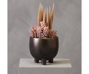 Premier Housewares Fiori Mixed Succulents In Ceramic Pot Artificial Plant Foliage