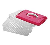 Herrela Hot Pink 2 Tier Food Container