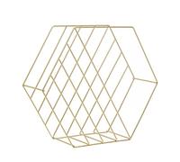 Premier Housewares Functional Sleek Hexagonal Basket | Stylish Wireframe Basket For Kitchen Contemporary Basket | Iron Constructed Minimalist Basket For Storage