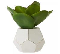 Premier Housewares Interiors By Premier Fiori White Cement Pot Faux Succulent, Decorative Artificial Plant With 3D Concrete Pot, Faux Botanical