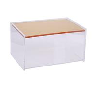Premier Housewares Large Storage Box Storage Containers/Clear Acrylic Design Containers/Gold Finish Outdoor Storage Containers Dimensions W18 x D12 x H10cm.