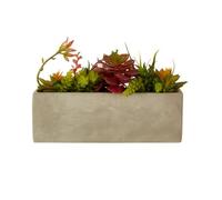 Premier Housewares Mixed Succulents in Cement Pot Fiori Faux Botanical Range, Realistic Design, Colorful Display, 11 x 19 x 32