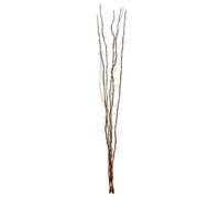 Premier Housewares Natural 80 Lights Colour Twigs with EU Plug
