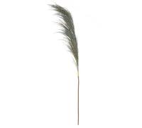 Premier Housewares Pampas Fake Plant Grass Blue Stem Elegant Artificial Grass For Home Office Decor Flower Vase, Washable and Eco-Friendly Flower Garland, 15x117x15cm