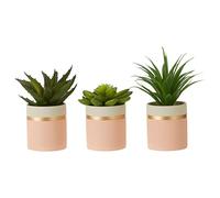 Premier Housewares Set of 3 Pink Pot Succulents, Gold Finish Trim, Concrete Planters, Southwestern Style, Ceramic Pot, Faux Succulents, Succulent Plants, W10 x D10 x H10cm