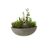 Premier Housewares Stone Effect Pot Mixed Succulent, Verdant Accent Pieces, Grey Stone Effect Pot, Contemporary Style, Faux Succulents, Succulent Plants, W29 x D29 x H29cm