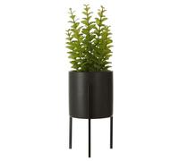 Premier Housewares Thyme Lush Green Faux Thyme Plant In Textured Concrete Pot With Minimalist Black Iron Stand For Artificial Plants Mini Plants 12 x 30 x 12 cm
