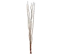Premier Housewares Twigs 80 Lights Home Decor Twig Twig Lights Twig Tree Home Decorations Twig Lights Mains Powered Decorative Twigs 5 x 5 x 125.5