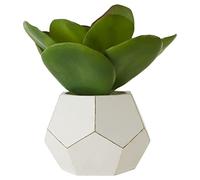 Premier Housewares White Cement Pot Succulent, Verdant Accent Pieces, Botanical Charm, Contemporary Style, Concrete Pot, White Finish Base, Faux Succulents, Succulent Plants, W23 x D23 x H24cm