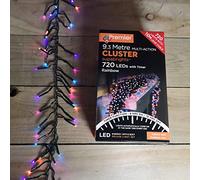 Premier Multi Action Cluster Brights with Timer 720 LED Rainbow/Green