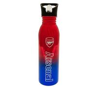 Premier Life Store ARSENAL FC 700ML UV METALLIC STAINLESS STEEL WATER BOTTLE With a pen