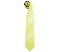 Premier Mens Fashion ”Colours” Work Clip On Tie (Pack of 2)