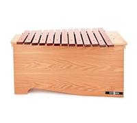 Premier NXT GEN Bass Xylophone, Diatonic | Individually Labelled Bars for Easy Play, Spare Bars for C F and G Keys, Great for Schools, Bass Range C3-A4