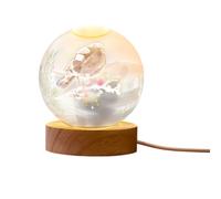 Premier Robin On A Branch LED Christmas Decoration