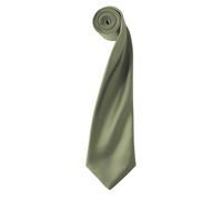 Premier Unisex Adult Colours Satin Tie PC6853