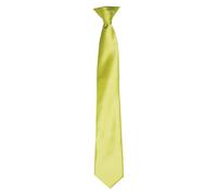 Premier Satin Tie in Lime Premier Lime One Size