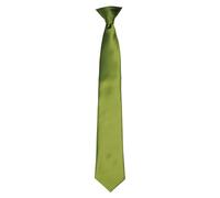 Premier Unisex Adult Satin Tie (Oasis Green) - One Size