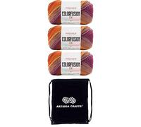 Premier Yarns Colorfusion DK Autumn Sky 1196-02 (3-Skeins - Same Dye Lot) DK Light Worsted #3 Acrylic Yarn for Crocheting and Knitting with Project Bag