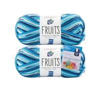 Premier Yarns Fruits, Acrylic Sock Yarn, 2-Pack Bundled with Bella's Crafts Stitch Markers (Blueberry)