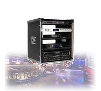 Premium 10U Road Case with Casters, 19.5" Rackable Depth Rolling Cabinet with Thickened Metal Frame & Non-Slip Handles, Durable Pro Audio Storage for Touring Musicians(C5)