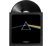 PREMIUM 12" VINYL RECORD DISPLAY BLACK WALL FRAME ERIK
