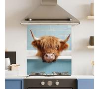 Premium 59.5 x 74.5cm Bath Cow 6mm Glass Toughened Kitchen Splashback