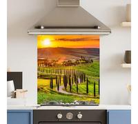 Premium 59.5 x 74.5cm Italian Field 6mm Glass Toughened Kitchen Splashback